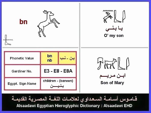 E3-E8-E8A