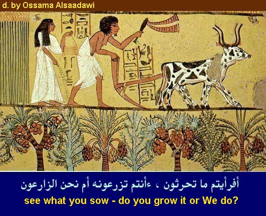 3 - Ancient Egyptian Pictures