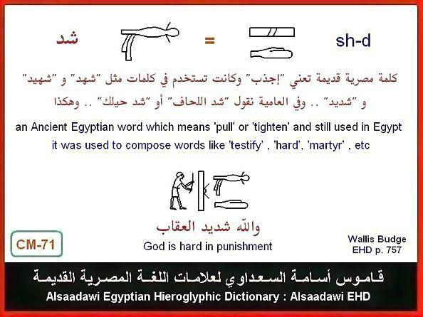 25 - Common Egyptian Hieroglyphic Words and Expressions