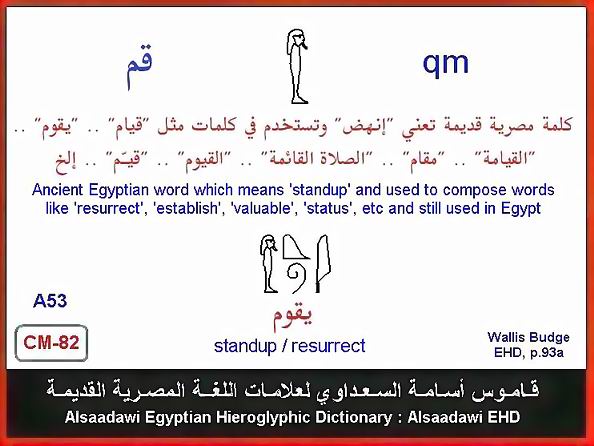 25 - Common Egyptian Hieroglyphic Words and Expressions