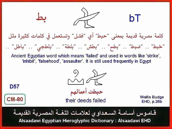 25 - Common Egyptian Hieroglyphic Words and Expressions