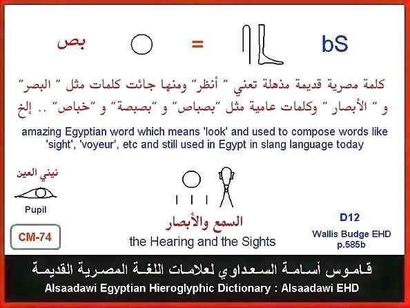 25 - Common Egyptian Hieroglyphic Words and Expressions