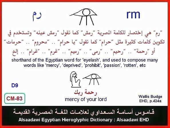 25 - Common Egyptian Hieroglyphic Words and Expressions