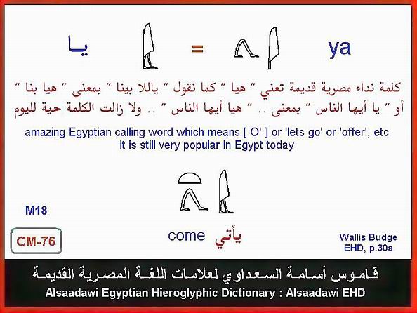 25 - Common Egyptian Hieroglyphic Words and Expressions