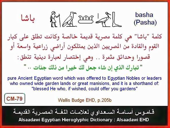 25 - Common Egyptian Hieroglyphic Words and Expressions